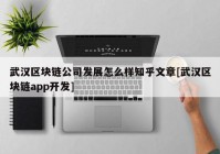 武汉区块链公司发展怎么样知乎文章[武汉区块链app开发]